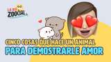 Cinco formas como su mascota le demuestra amor