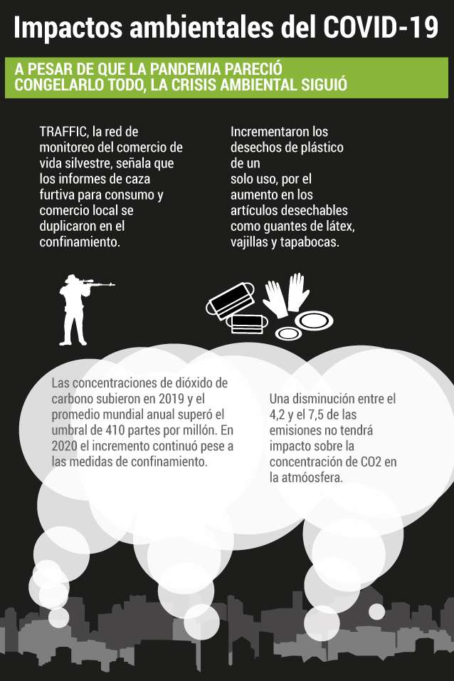 Impactos del COVID-19 en el medio ambiente.