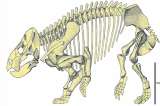 Conoce a Lisowicia bojanini, un primo gigante de los mamíferos