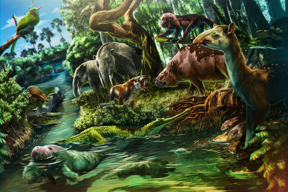 Ilustración del libro Hace Tiempo editado por el Instituto Humboldt que representa una escena de biodiversidad del mioceno en el trópico. / Puntoaparte Bookvertising - Instituto Humboldt