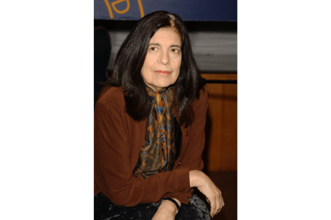 Las muchas guerras de Susan Sontag