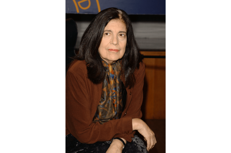 Las muchas guerras de Susan Sontag