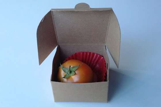 La idea surgió desde el Partido del Tomate.