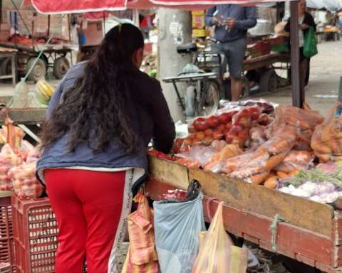 Trabajo por cuenta propia en Colombia: necesidad o elección y pocas garantías