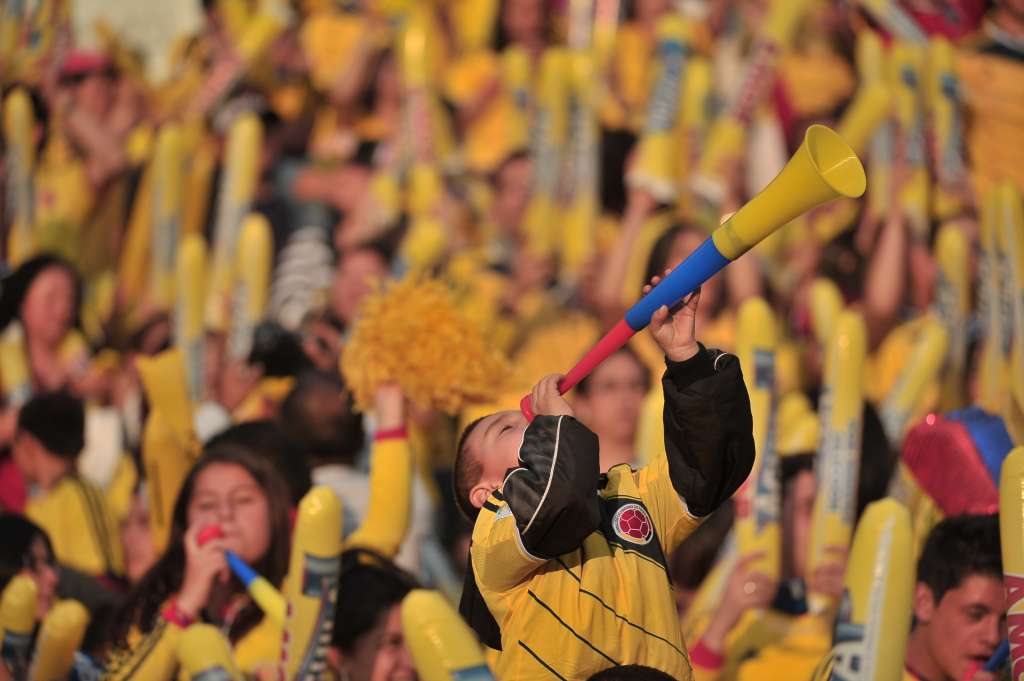 Hinchas de la selección Colombia, durante el partido de despedida en el estadio El Campin, a los jugadores que participarán en el mundial de Brasil 2014.