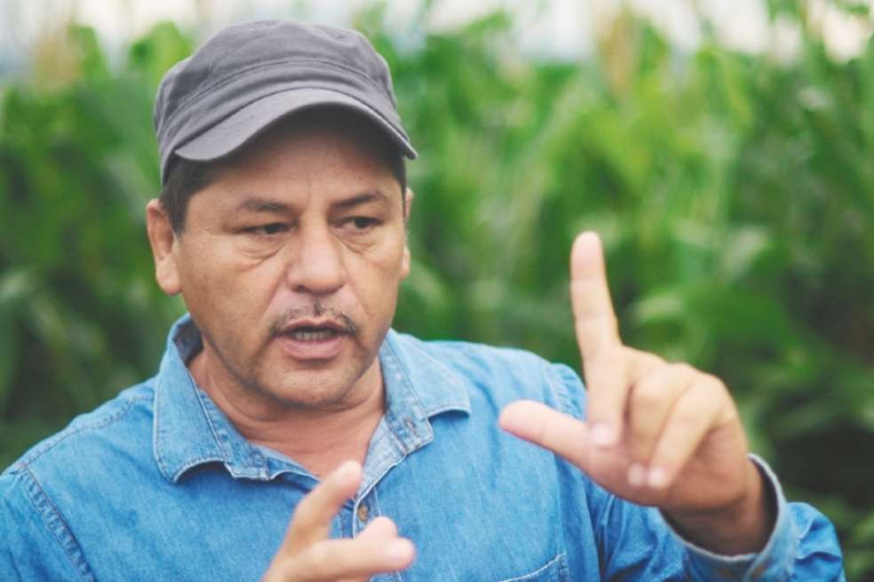 Henry Castellanos mostró sus cultivos de maiz y girasol, en una entrevista a El Espectador. / Cristian Garavito