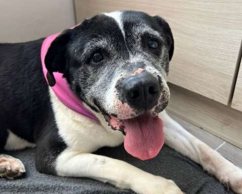 Estrellita tenía 14 años y fue adoptada: “los milagros se cumplen en Navidad”