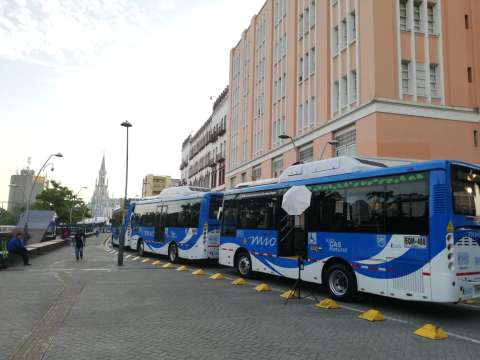 Llega a Cali la primera flota de buses MIO a gas natural