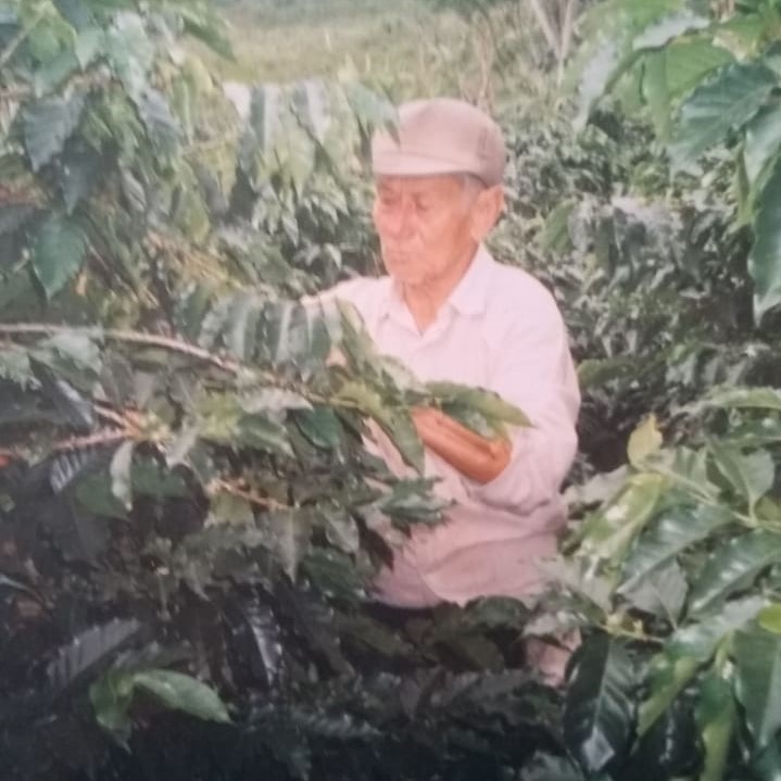 Simón trabajaba en diferentes labores en las fincas, pero lo que más hacía era recoger café.