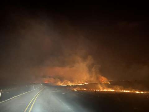 EE. UU.: Texas enfrenta uno de los mayores incendios forestales de su historia