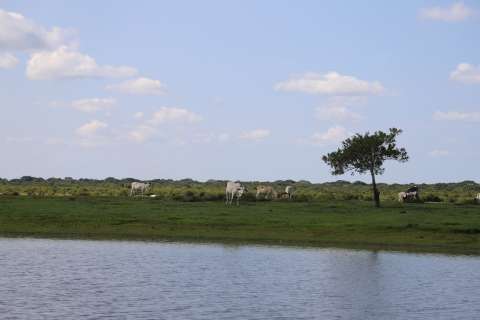 Las razones para conservar uno de los ecosistemas más importantes de la Orinoquia