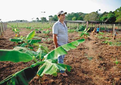 Más trabajo en el campo: ocupación rural aumentó en junio