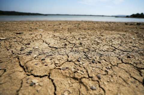 Acción contra el cambio climático aportaría US$36 billones a economía mundial