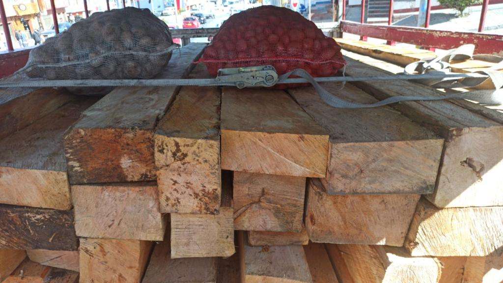 El camión transportaba 7.65 metros cúbicos de madera ilegal de la especie ciprés.