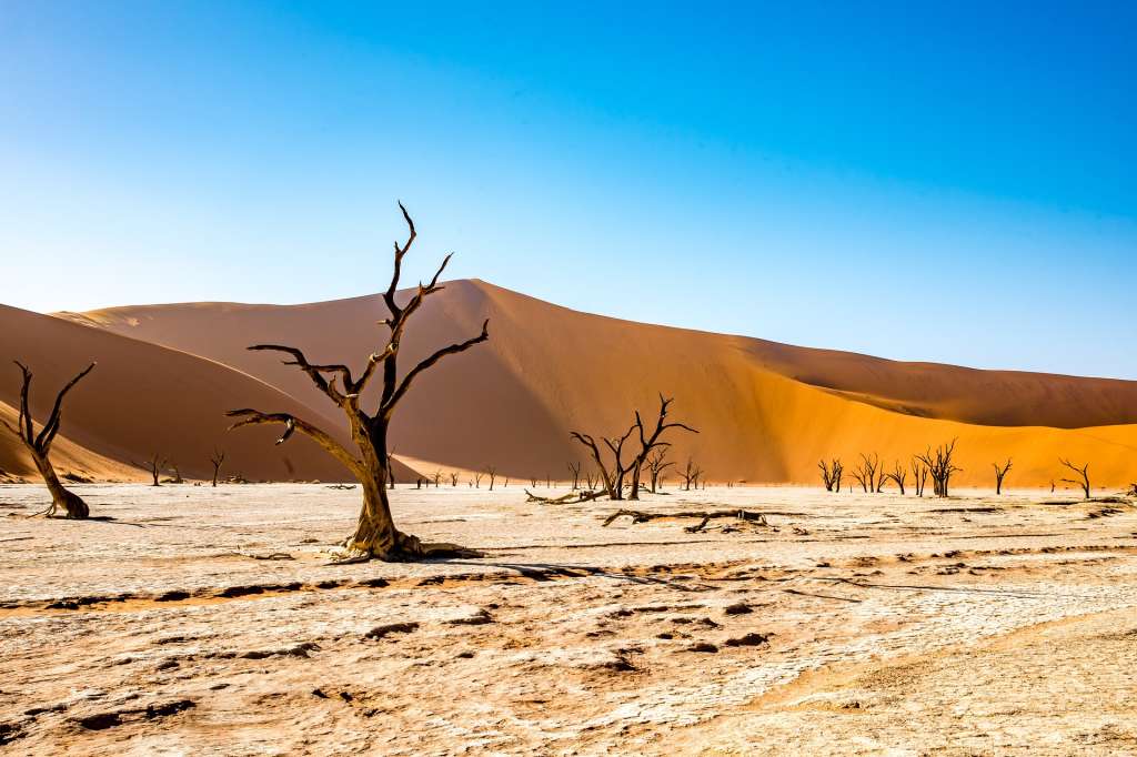 Namibia, lugar imperdible.