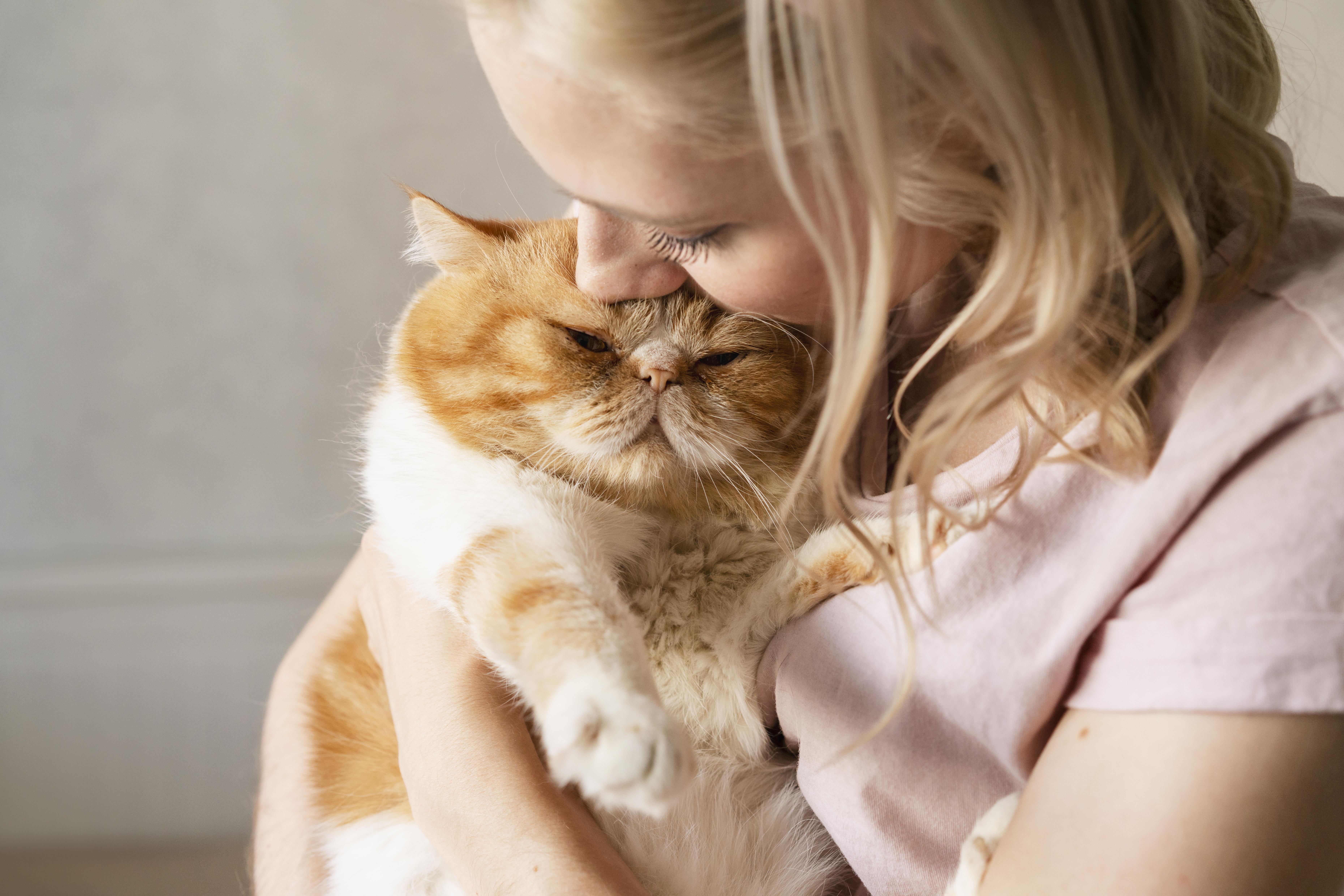 Interpretar los comportamientos del gato y conocer su personalidad son bases para identificar cuándo su mascota le está pidiendo muestras de su amor. En La Red Zoocial le contamos cuáles son las muestras más evidentes con las que su animal se manifiesta.