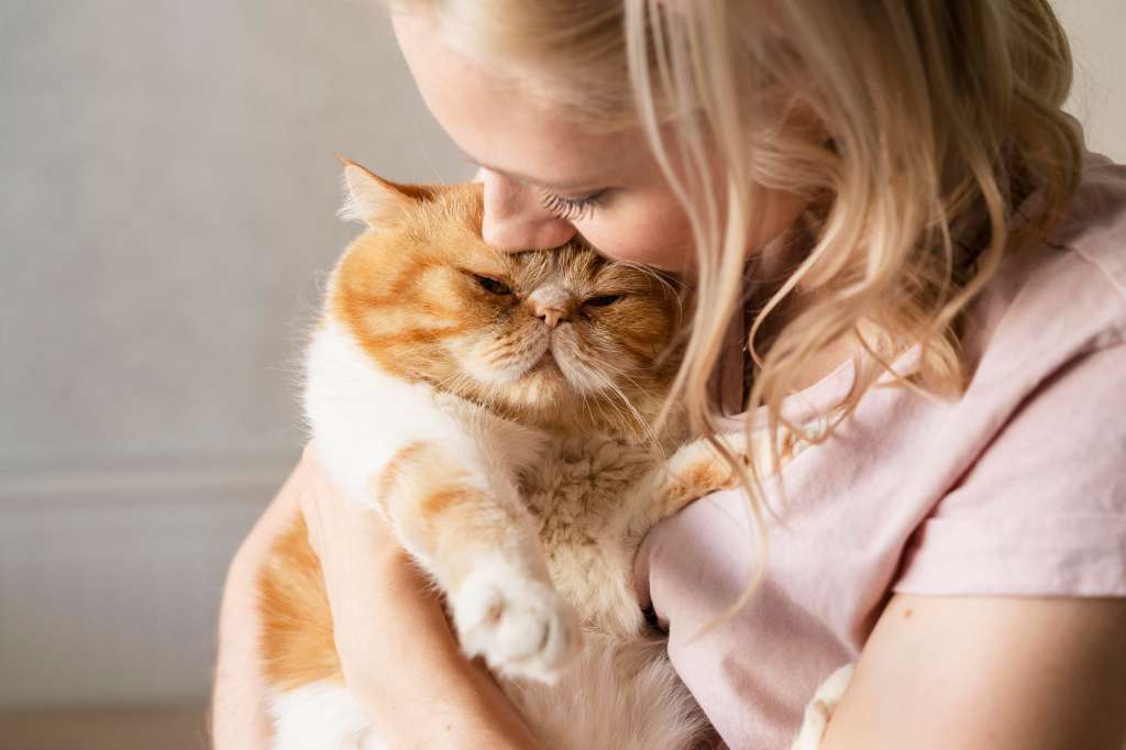 Interpretar los comportamientos del gato y conocer su personalidad son bases para identificar cuándo su mascota le está pidiendo muestras de su amor. En La Red Zoocial le contamos cuáles son las muestras más evidentes con las que su animal se manifiesta.