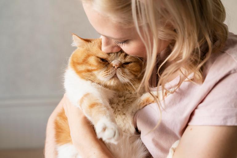 ¿Qué significa cuando un gato está muy cariñoso?