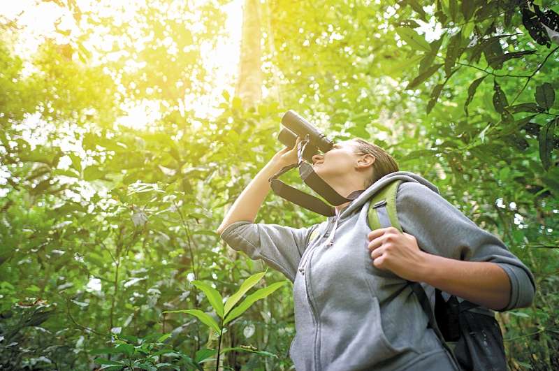 En 2016 participaron 17.429 personas con 47.317 listas de observación y 6.334 especies de aves registradas. / iStock