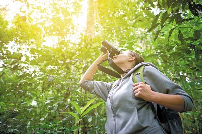 Becas Colombia Biodiversa: abren convocatorias para apoyar tesis de grado