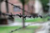 Nueva cifra de esclavos muertos en la Segunda Guerra Mundial en suelo británico