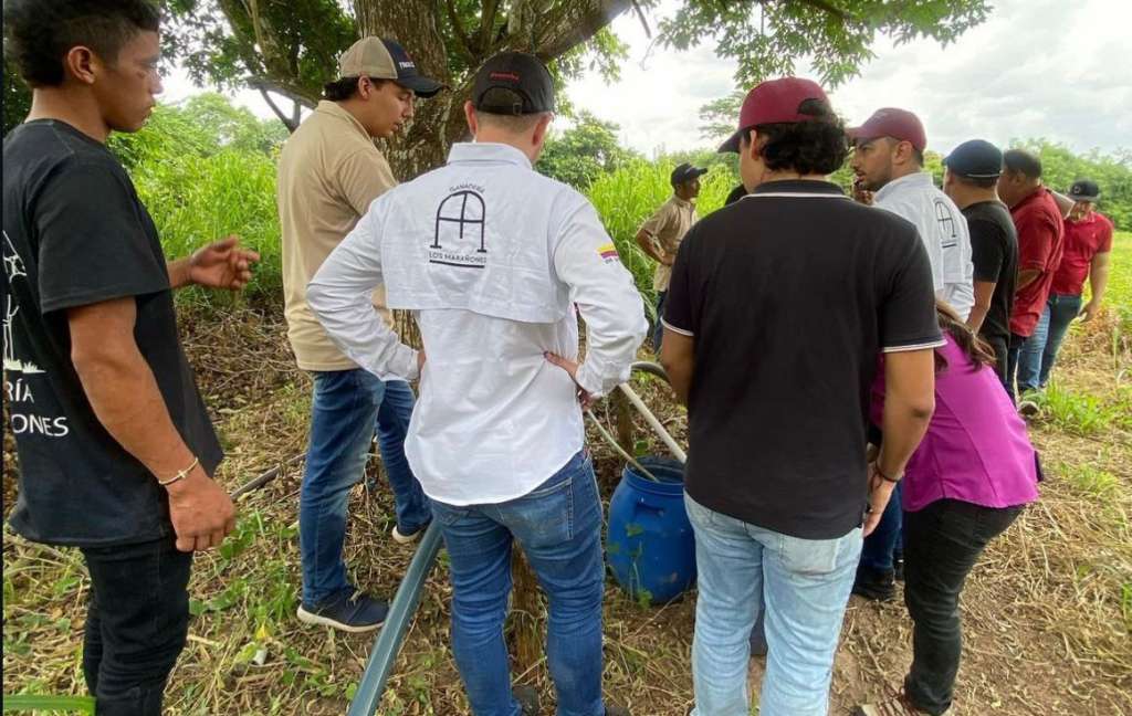 Iniciativas como Juventudes Ganaderas buscan atraer y empoderar a los jóvenes para revitalizar el sector ganadero colombiano.