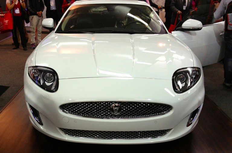 Un Jaguar anda suelto en Corferias