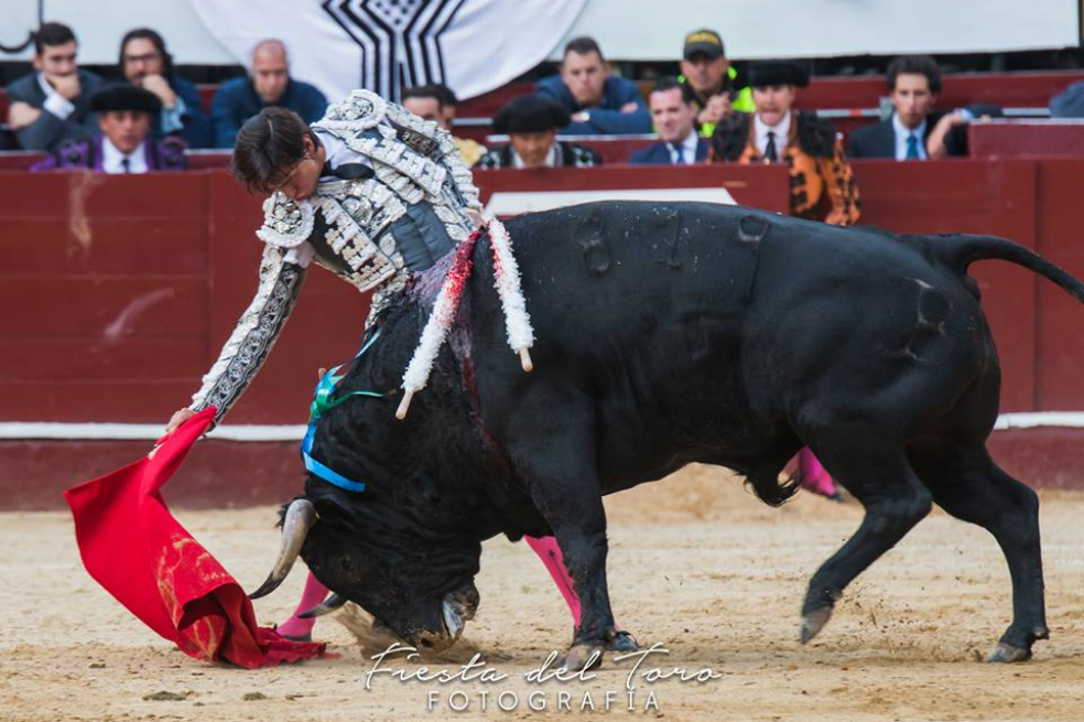 El torero peruano estuvo cerca de un mes fuera de la actividad.Cortesía.¿Están superados todos sus problemas de salud?