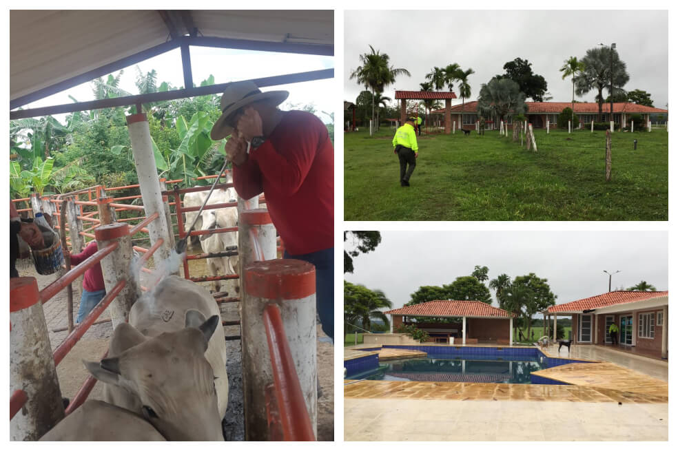 Entre las propiedades sobresalen haciendas ganaderas de más de 300 hectáreas en San Carlos de Guaroa (Meta), otras 8 fincas, 5 en Sabana de Torres (Santander) y 3 en Ricaurte (Cundinamarca).
/ Fiscalía.