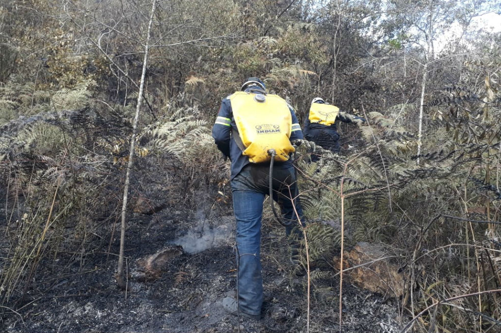 Bomberos de Cundinamarca