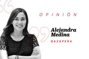 ¿«Maltratos» o «malos tratos»?