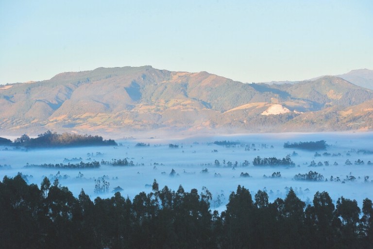 ¿Por qué Cundinamarca no está en emergencia?