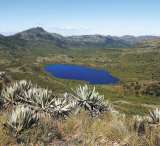 “Colombia puede ser líder mundial en la protección del  ambiente”: Unión Europea