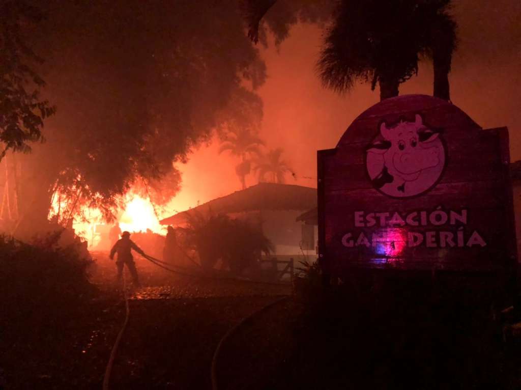 Ningún animal resultó afectado tras el incendio, de acuerdo con el Parque Panaca.