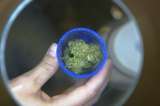 Cerveza de marihuana, la nueva apuesta del mercado