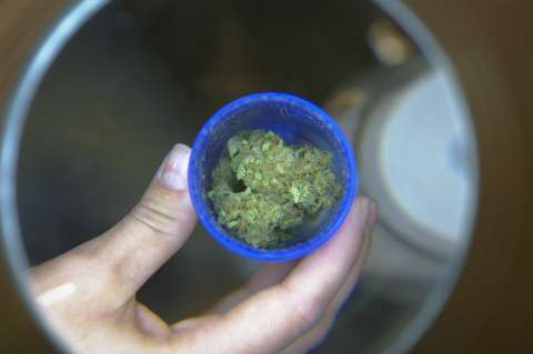 Cerveza de marihuana, la nueva apuesta del mercado