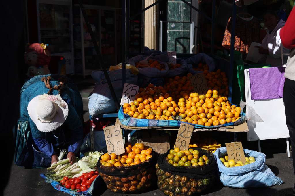 AME8573. LA PAZ (BOLIVIA), 01/07/2024.- Fotografía de un comercio en un mercado, este lunes en La Paz (Bolivia). El “intento de golpe de Estado” del pasado 26 de junio ha generado un efecto mixto en la economía popular de Bolivia porque mientras algunos vendedores han experimentado un breve aumento en la demanda y en los precios, otros atribuyen este incremento a los efectos de la crisis climática y la fluctuación del dólar. EFE/ Luis Gandarillas