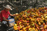 Finagro brindará nuevos subsidios para campesinos: ¿de qué trata?