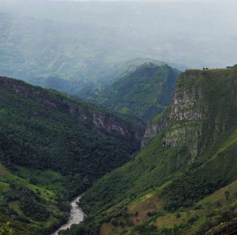 Ideam alerta por posibles inundaciones y deslizamientos en Amazonia y Orinoquia
