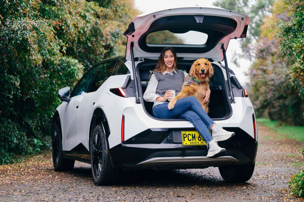 El nuevo Modo Mascota de los carros eléctricos de Zeerk que protege a los animales