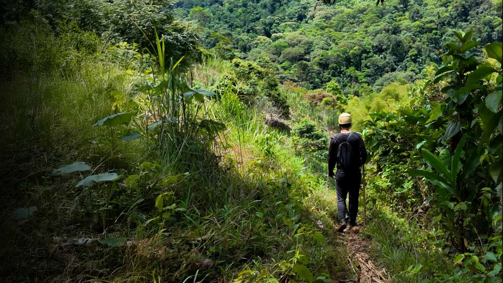 Cascadas en Caquetá: experiencias de naturaleza para quienes buscan aventura y descanso