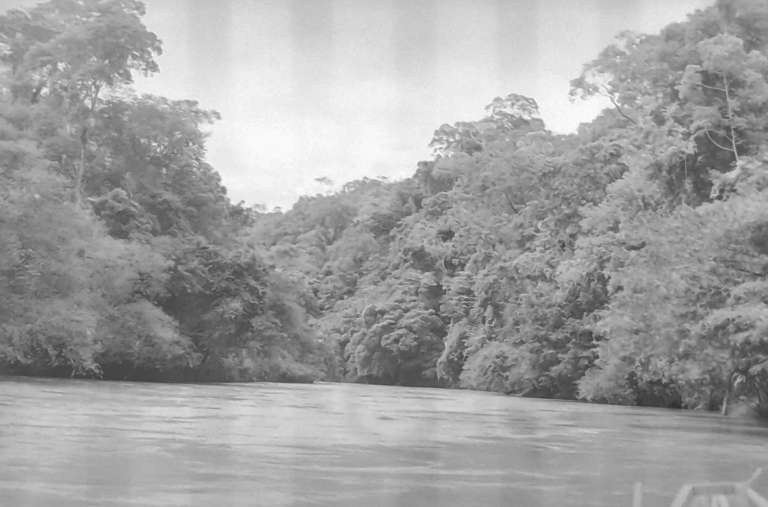 El Sinú es parte fundamental de la cultura y la alimentación de las comunidades embera-katío. Así lucía una parte de su territorio en 1998.