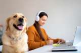 Sería obligatorio tomar un curso para tener mascotas en Colombia: detalles del proyecto