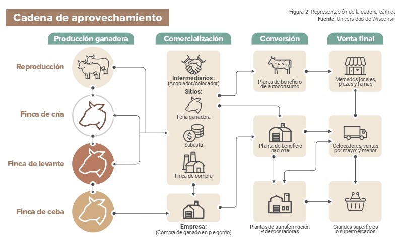 Deforestación en Chiribiquete
