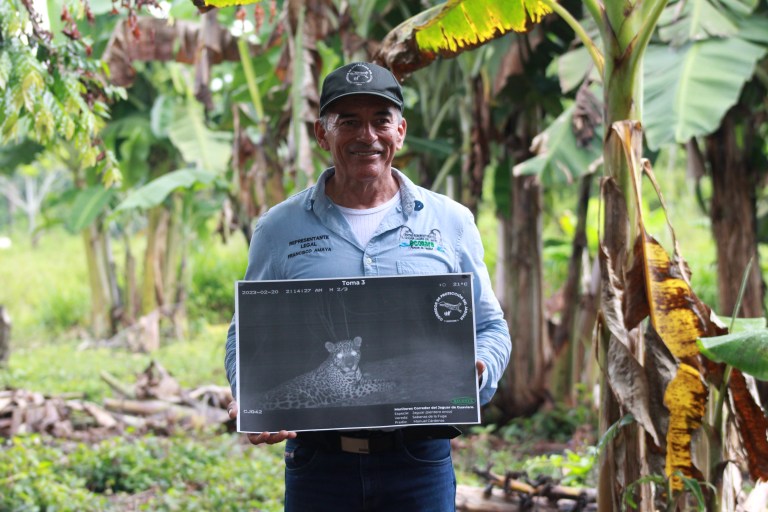 Las comunidades de Guaviare que comparten su casa con el jaguar