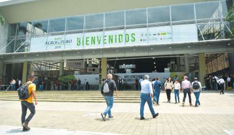 Sostenibilidad y marketing: el agro en busca de renovación