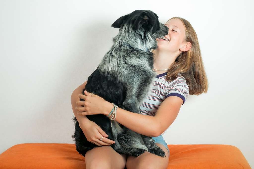 ¿Que se puede aprender de una mascota?