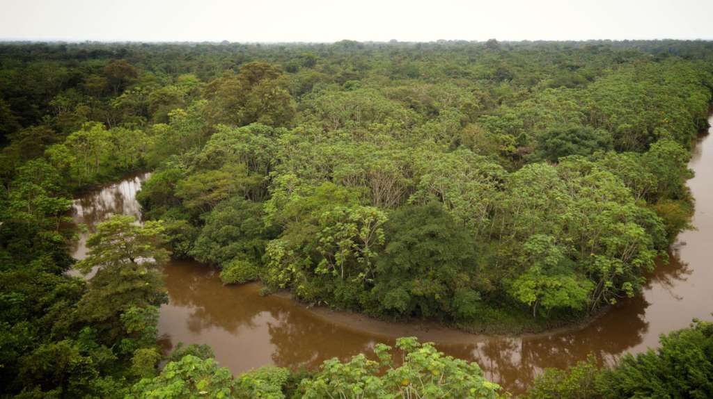 Todo el pueblo quería viajar. Mientras tanto, un hombre recordó que atrás de un rancho había otra embarcación de madera más grande, abandonada hacía años.