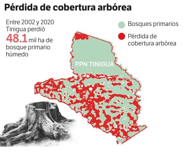 Con datos de Parques Cómo Vamos y Global Forest Watch