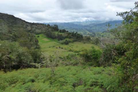 La Cuchilla Mesa Alta, la nueva área protegida de Boyacá